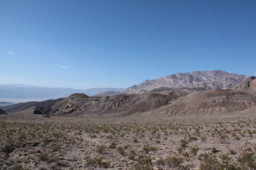 IMG_8711.jpg