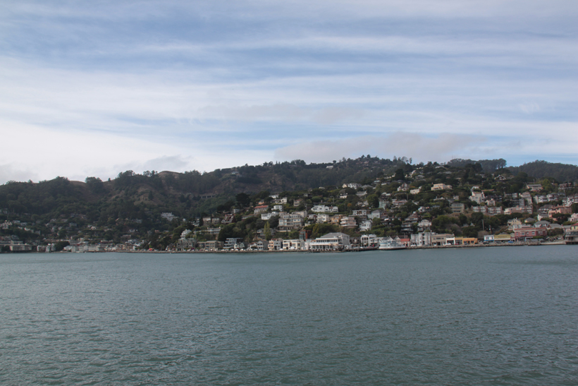 IMG_8112.jpg