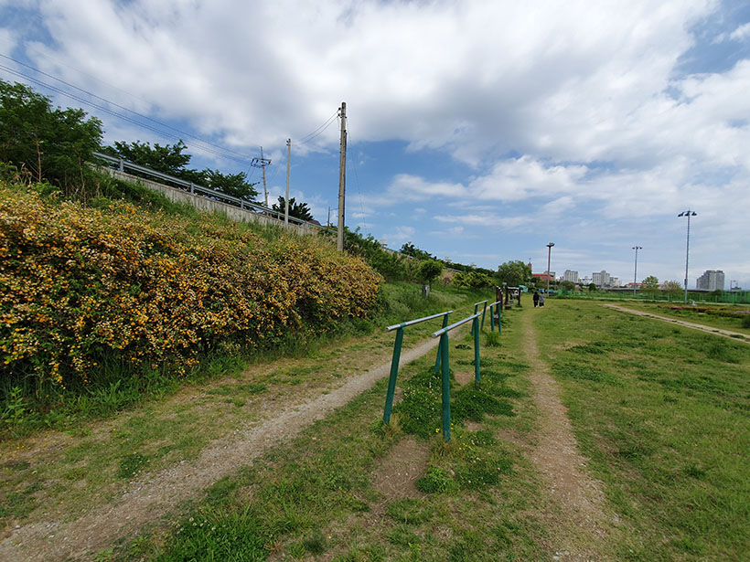 20190506_104543.jpg